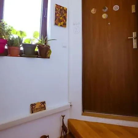 Old Town Bohemian With Terrace Apartment