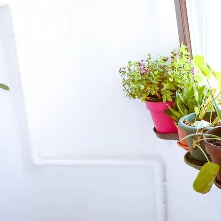 Old Town Bohemian With Terrace *