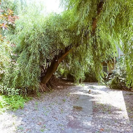 Old Town Bohemian With Terrace Διαμέρισμα