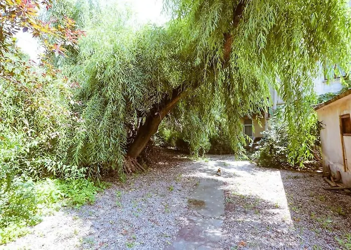 Old Town Bohemian With Terrace Апартаменти