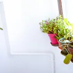 Old Town Bohemian With Terrace *